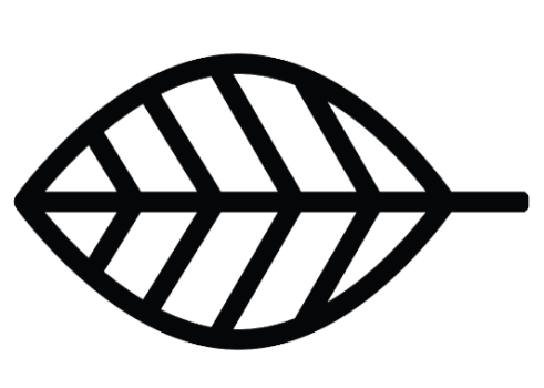 Plant-B Clothing Design – Plant -B Clothing Design
